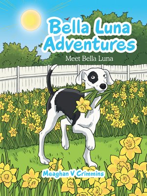 cover image of Bella Luna Adventures